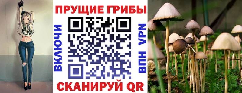 ОМГ ОМГ tor  Ростов-на-Дону  Псилоцибиновые грибы прущие грибы 