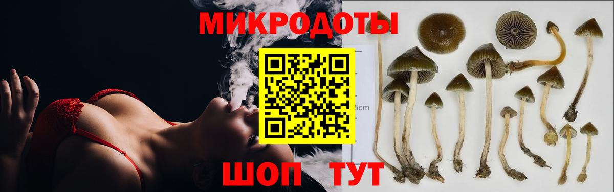 Псилоцибиновые грибы ЛСД  Галлюциногенные грибы GOLDEN TEACHER  Ростов-на-Дону  Вход с VPN 